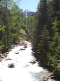 albula06 albula06